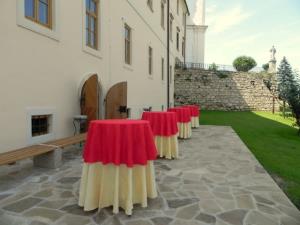 Samostanska klet Frančiškanskega samostana 4